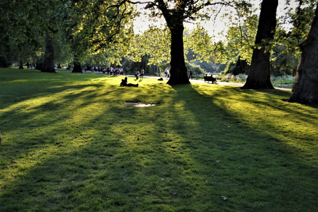 Parchi Di Londra: hyde Park