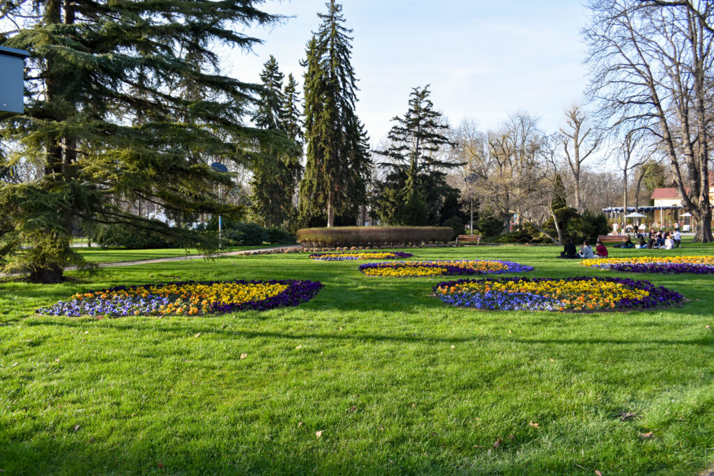 Isola Margherita, Budapest