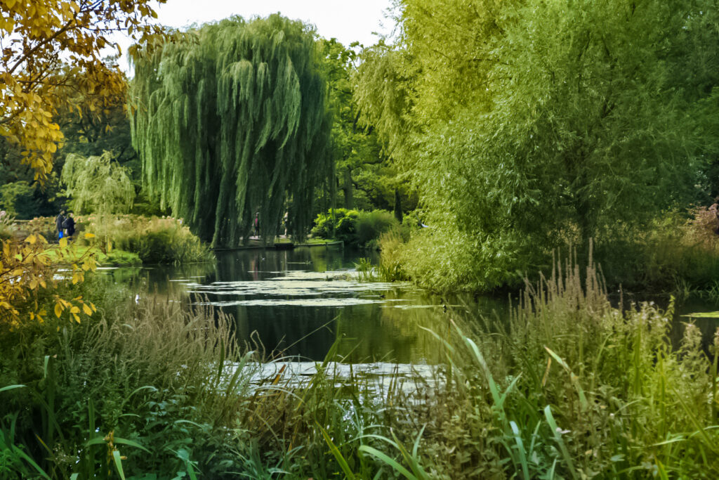 Parchi Londra Regent's Park laghetto