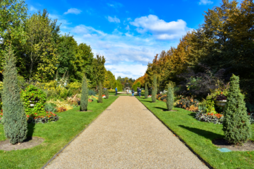 Vialetto di Regent's Park, uno dei Parchi di Londra